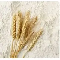 Wheat Flour