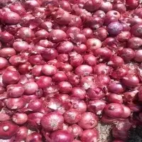 Red Onion (Naturally Dry)