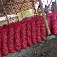 Red Onion (Naturally Dry)