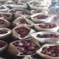 Red Onion (Naturally Dry)