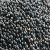 Black Pepper