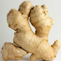 Ginger