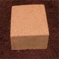 Coco Peat Bricks