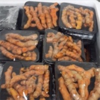 Fresh Turmeric