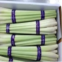 Fresh Lemon Grass