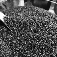Dried Basil Seed