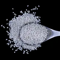 Hulled Sesame