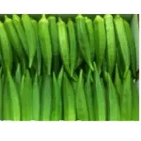 Fresh Okra