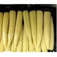 Fresh Baby Corn