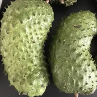 Soursop