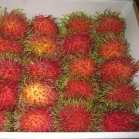 Rambutan