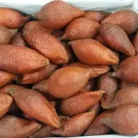 Salak