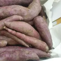 Purple Sweet Potato