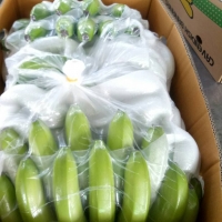 Cavandish Banana