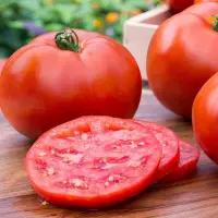 Fresh Tomato