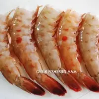 Pink & Brown Shrimps