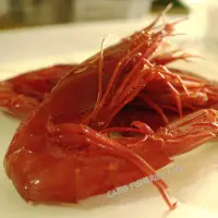 Deep Sea Scarlet Shrimps