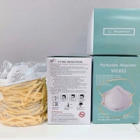 VIC823 - FFP2 Disposable Dust Mask