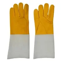 Tig Gloves
