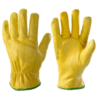 Driver Gloves