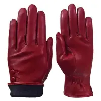 Dressing Gloves