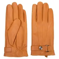 Dressing Gloves