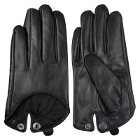 Dressing Gloves