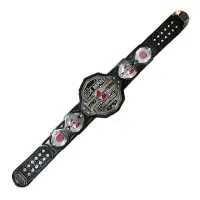 Wrestling Belts