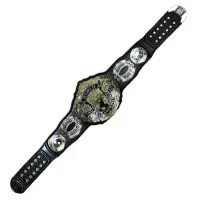 Wrestling Belts