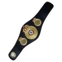 Wrestling Belts