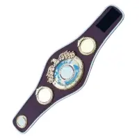 Wrestling Belts