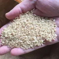 Yamazaki Family Rice