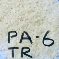 Nylon Pa 6 (tr-1)