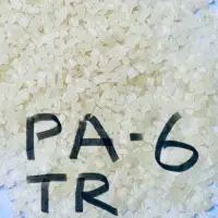 Nylon Pa 6 (tr-1)