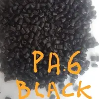 Nylon Pa 6 (Black)