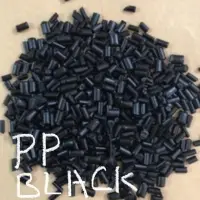 Pp Copo Black