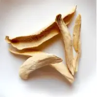 Dry Mango (Amchoor)