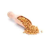 Fenugreek Seeds(Methi)