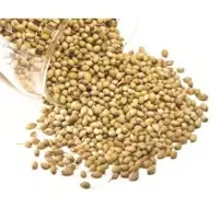 Coriander Seed (Dhaniya)