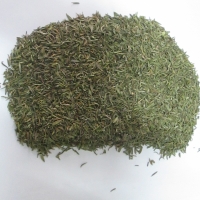 Dry Thyme
