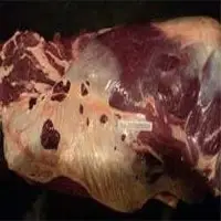 Frozen Buffalo Shoulder