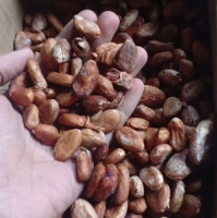 Chocolate Beans