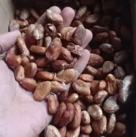 Chocolate Beans