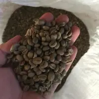 Liberica Coffee