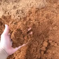 Coco Peat