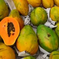 Papaya