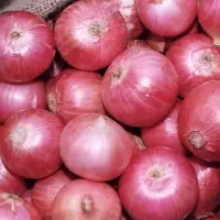 Fresh Red Onions