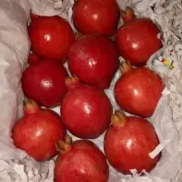 Pomegranate