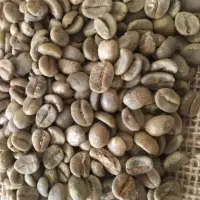 Arabica And Robusta Coffee Beans