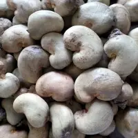 Raw Cashew Nuts